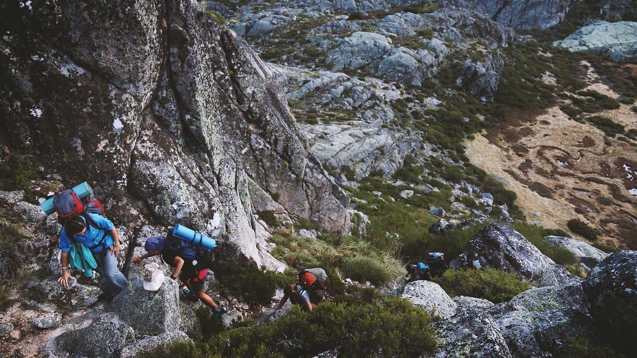 The Ultimate Guide to Rock Climbing in Yosemite